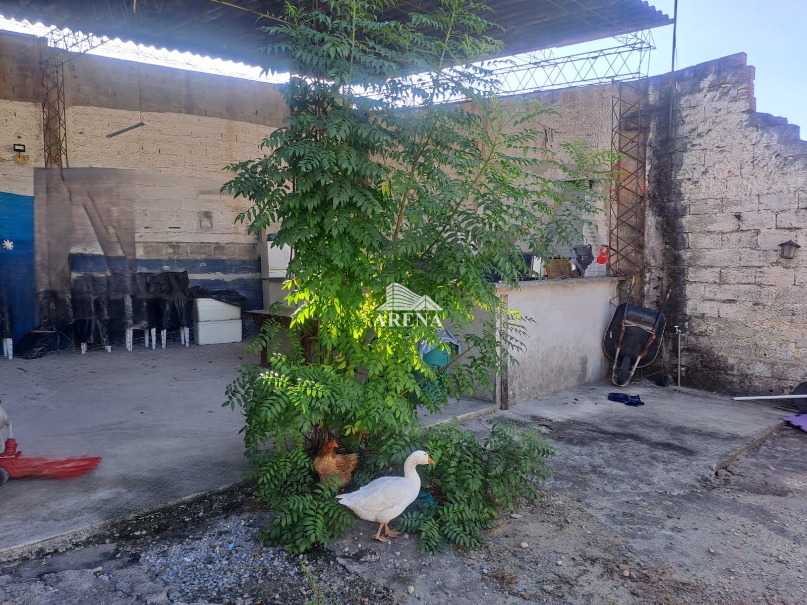 TERRENO no Jardim Vila Formosa, SP, com área total de 430 metros quadrados